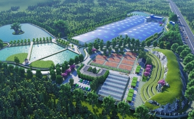 建寧縣委書記林大茂一行赴天馬科技集團考察交流 加速推進三產(chǎn)融合項目建設(shè)