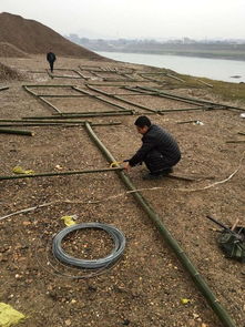 中國(guó)漁業(yè)政務(wù)網(wǎng) 畜牧漁業(yè)飼料銷(xiāo)售與管理的數(shù)字化平臺(tái)