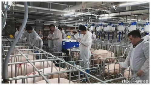 273.32億元，增長(zhǎng)5.4% 畜牧漁業(yè)飼料銷(xiāo)售穩(wěn)健增長(zhǎng)的動(dòng)力與展望